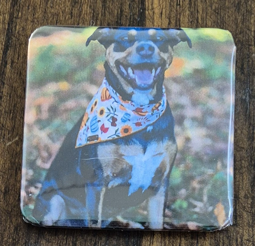 50 mm X 50 mm-9